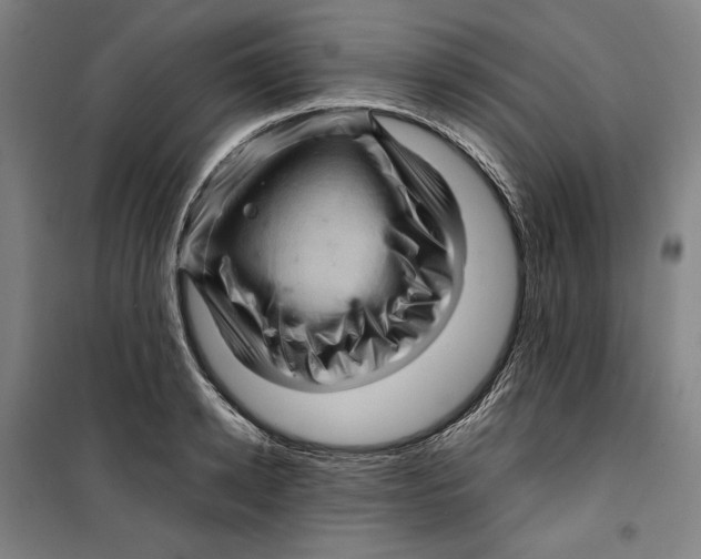 X0000099530942200806061428