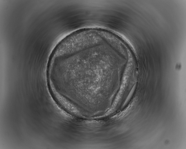 X0000099530943200806061428