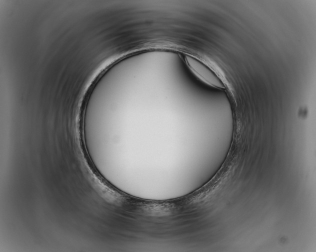 X0000099530947200806061428