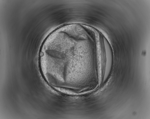 X0000099530949200806061428