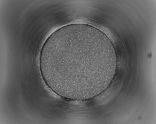 X0000099530950200806061428