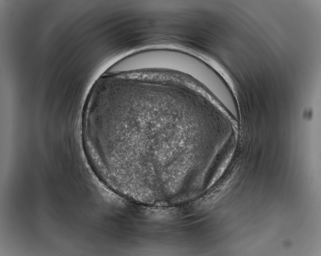 X0000099530951200806061428