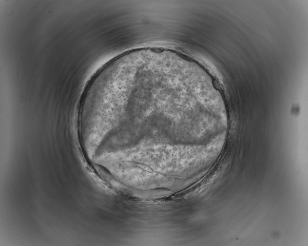 X0000099530952200806061428