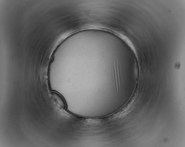 X0000099530954200806061428