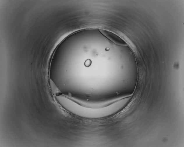 X0000099530956200806061428