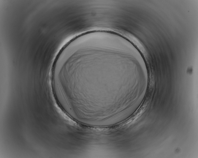 X0000099530958200806061428