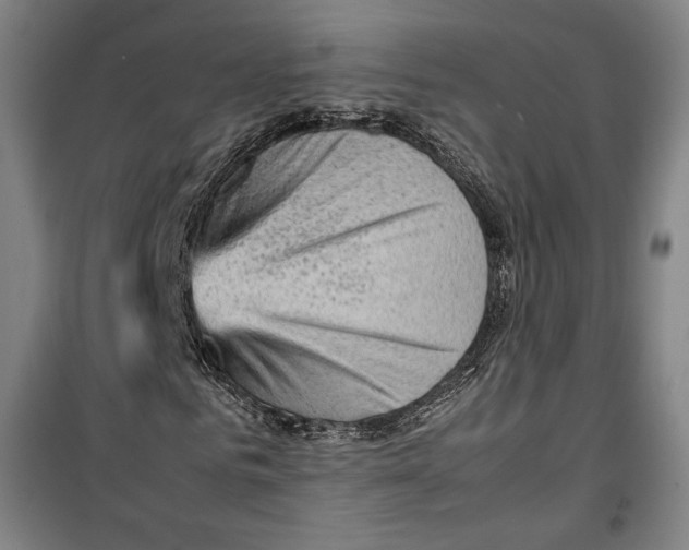 X0000099530961200806061428