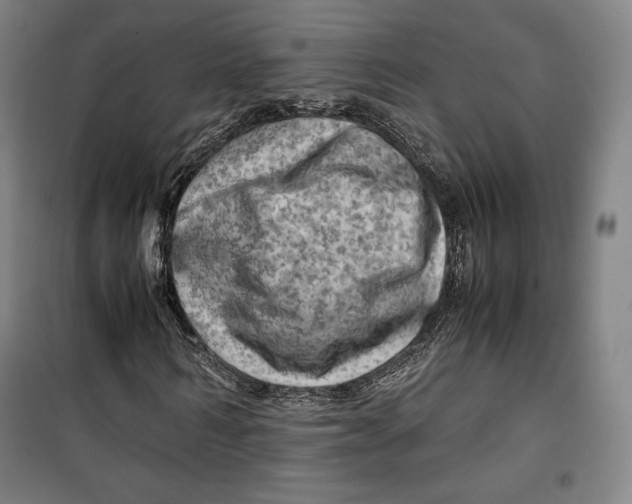 X0000099530962200806061428