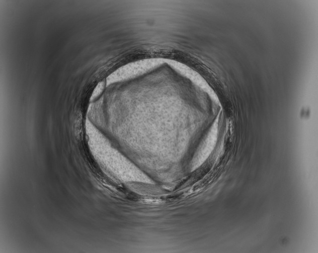 X0000099530963200806061428