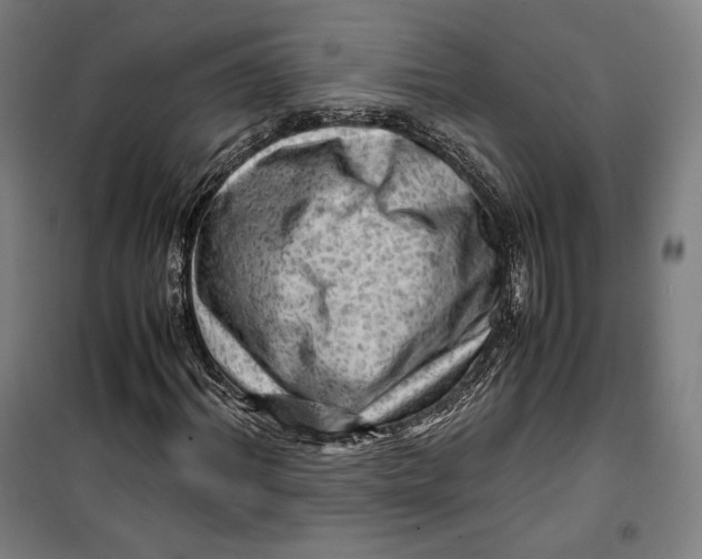 X0000099530964200806061428