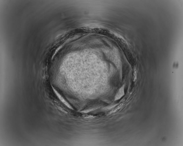 X0000099530965200806061428