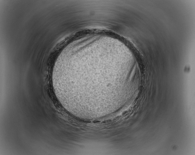 X0000099530967200806061428