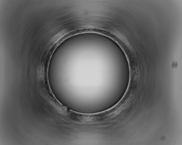 X0000099530969200806061428