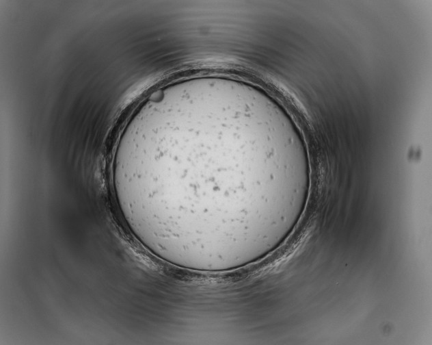 X0000099530970200806061428