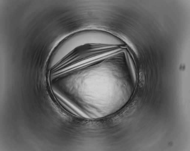 X0000099530972200806061428