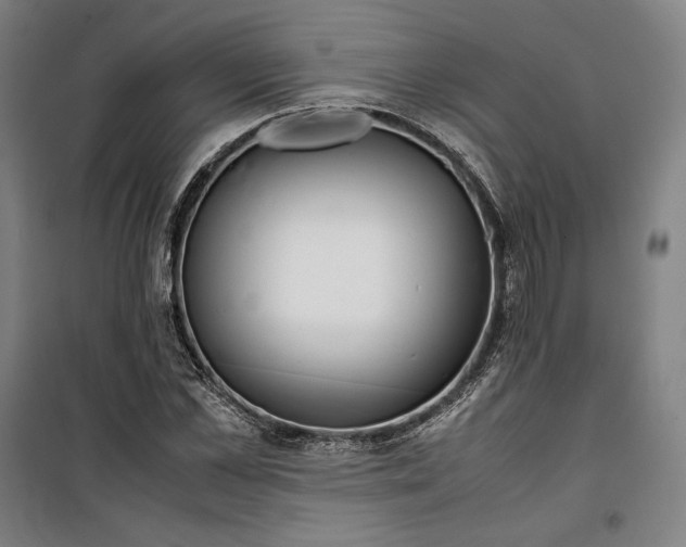 X0000099530973200806061428