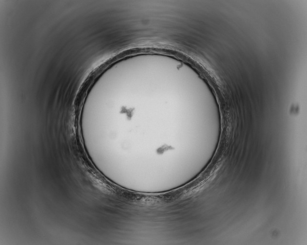 X0000099530974200806061428