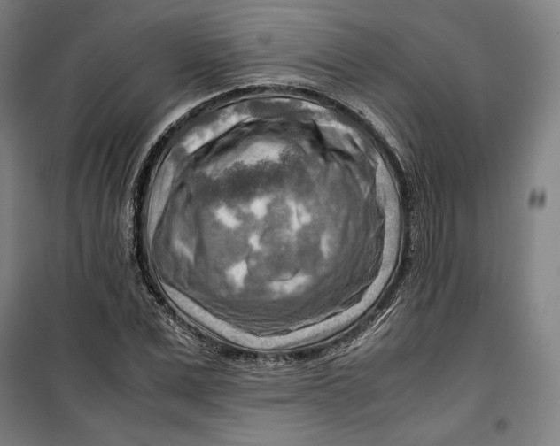 X0000099530975200806061428