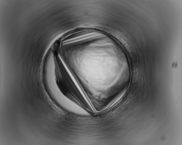 X0000099530976200806061428