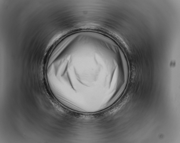 X0000099530978200806061428