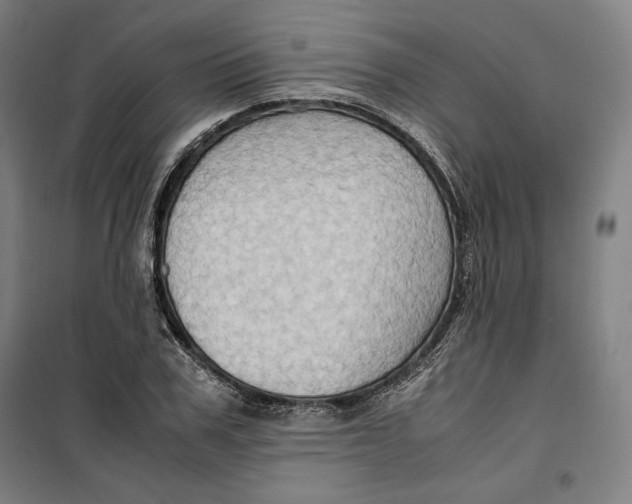 X0000099530979200806061427