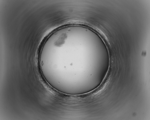 X0000099530981200806061427