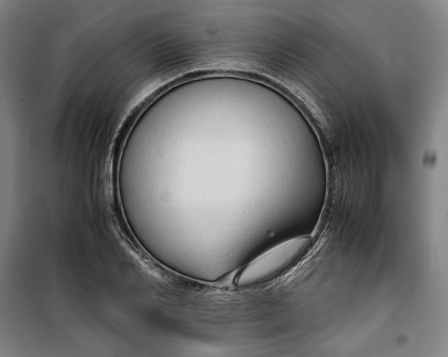 X0000099530982200806061427