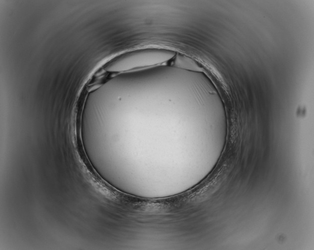 X0000099530984200806061427