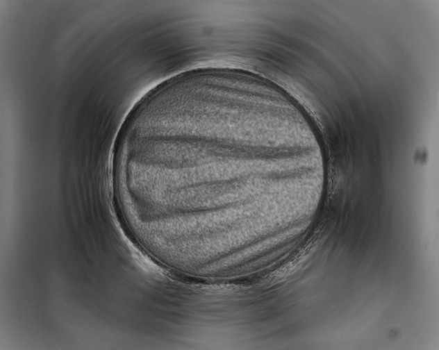 X0000099530988200806061427