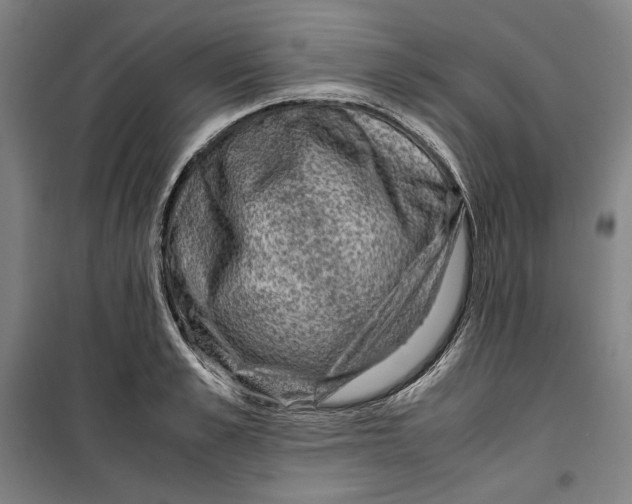 X0000099530989200806061427