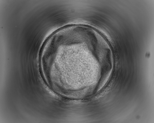 X0000099530990200806061427