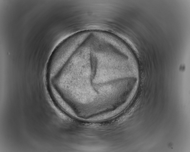 X0000099530991200806061427