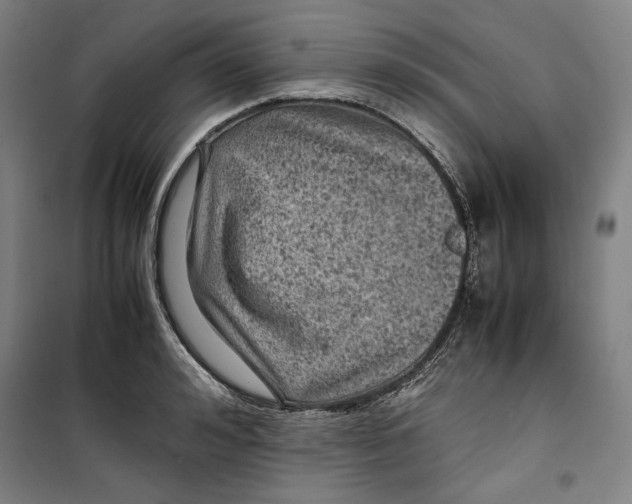 X0000099530992200806061427