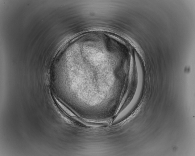 X0000099530993200806061427