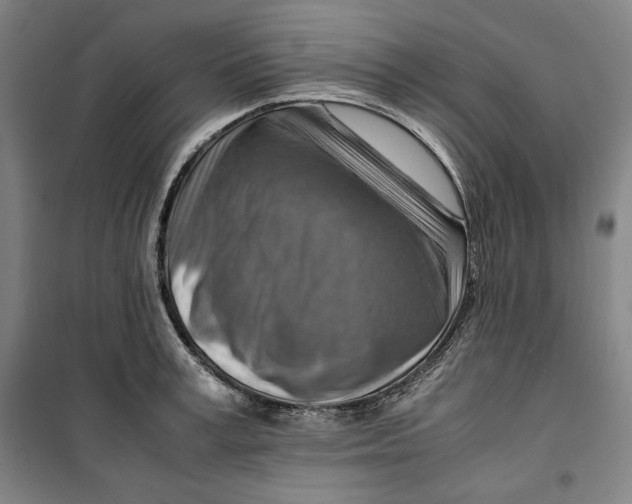 X0000099530995200806061427