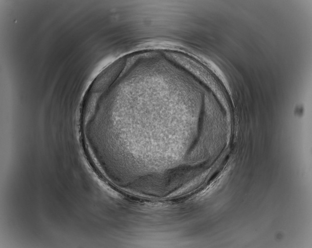 X0000099530997200806061427