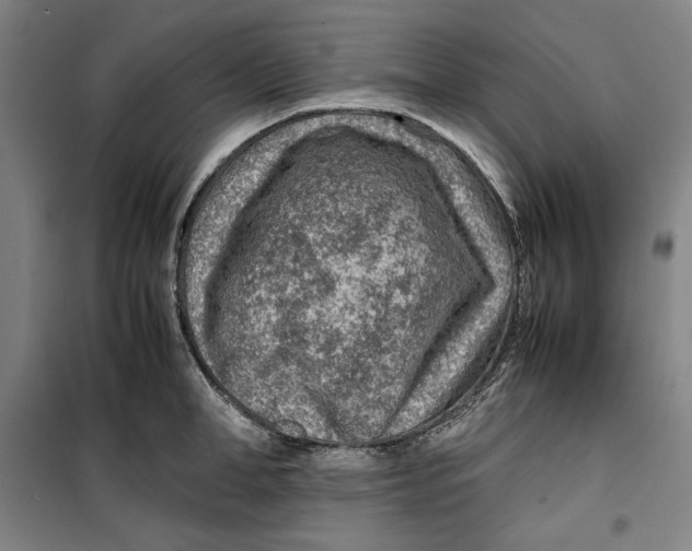 X0000099530998200806061427