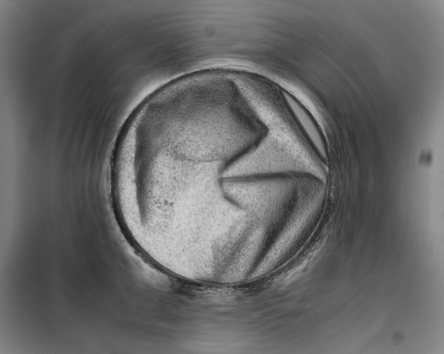 X0000099530999200806061427