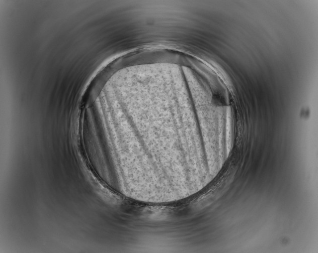 X0000099531000200806061427