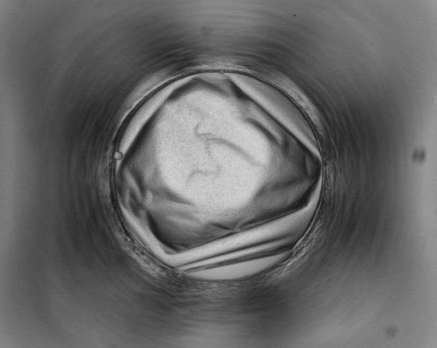 X0000099531002200806061427