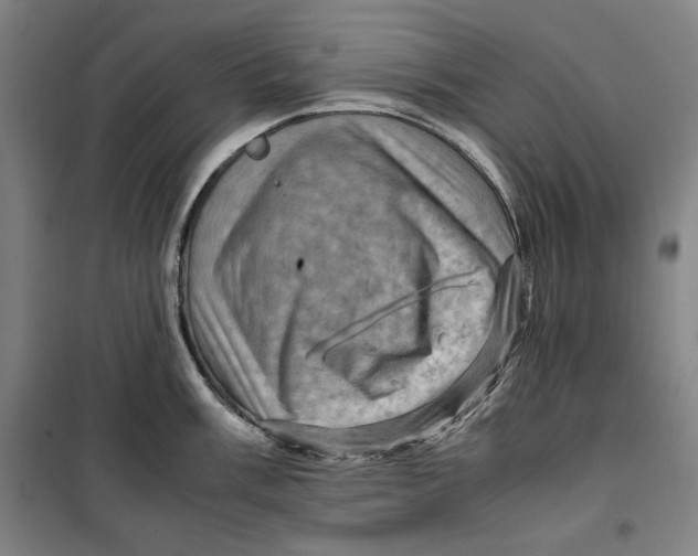 X0000099531003200806061427