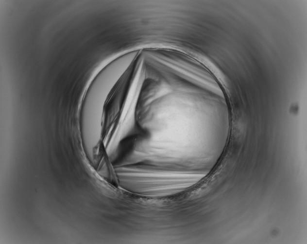 X0000099531004200806061427