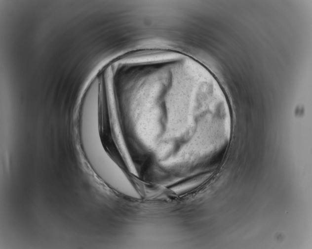 X0000099531008200806061427