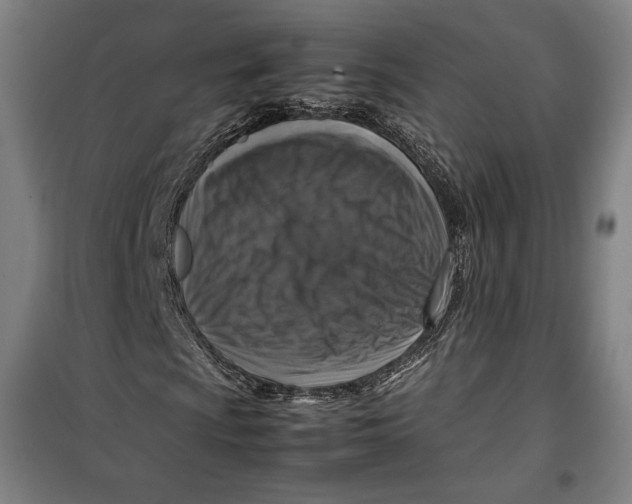 X0000099531009200806061426