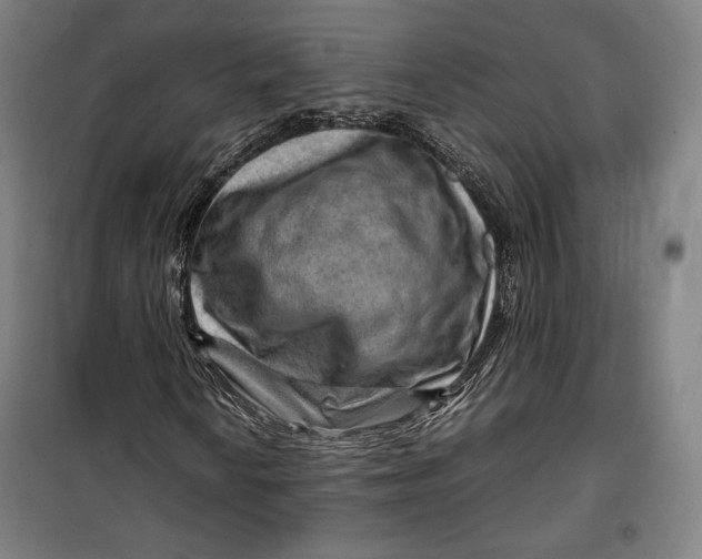 X0000099531010200806061426