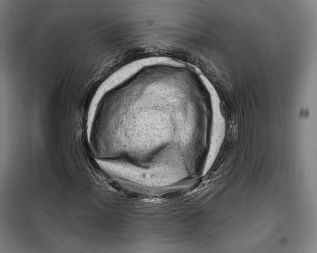 X0000099531012200806061426