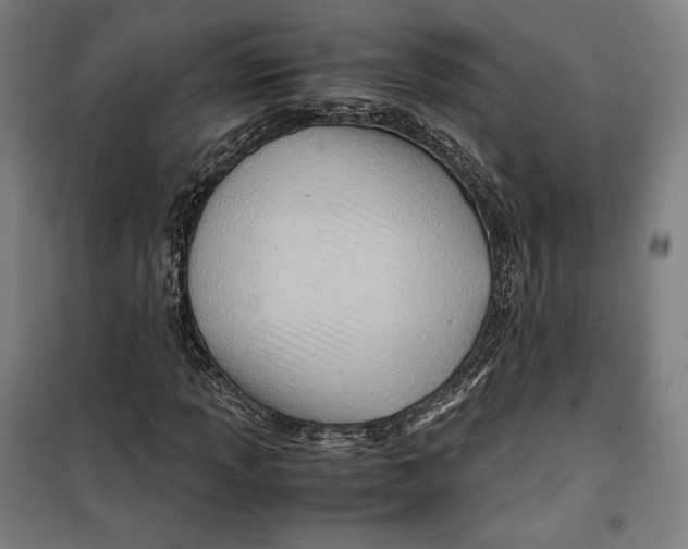 X0000099531013200806061426