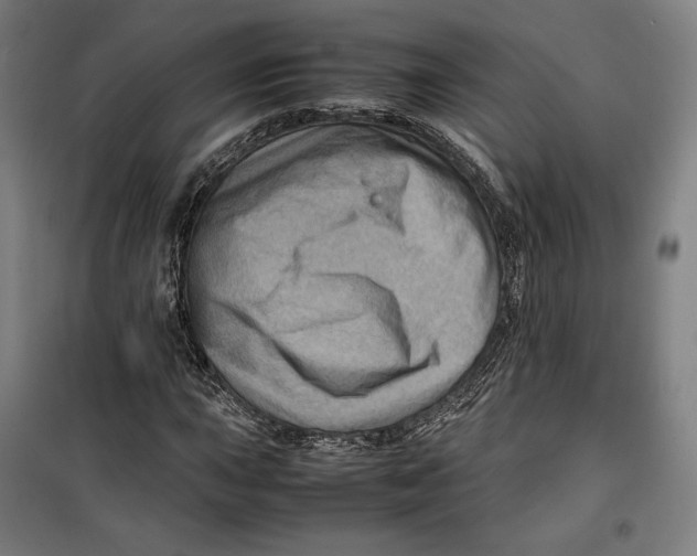 X0000099531015200806061426