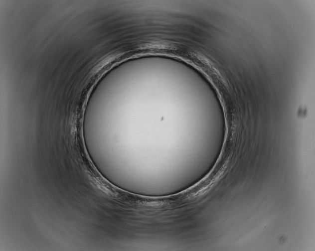 X0000099531017200806061426