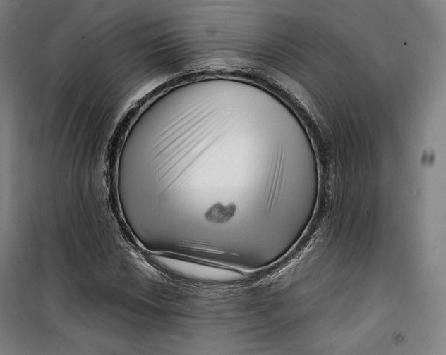 X0000099531018200806061426